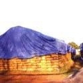 FUMIGATION COVER 1